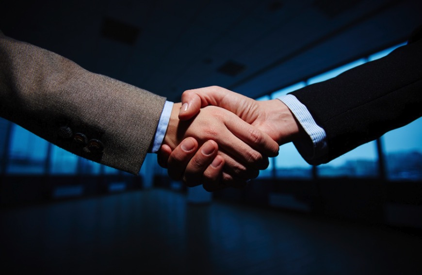 Why Do Poles Trust Allegro So Much? The Phenomenon of Domestic E-commerce